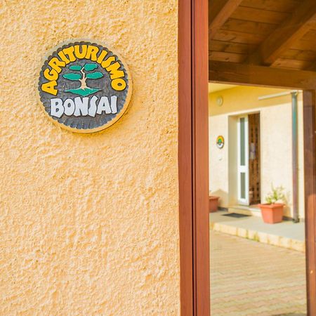 Bonsai B&B Alghero Санта-Мария-ла-Пальма Экстерьер фото