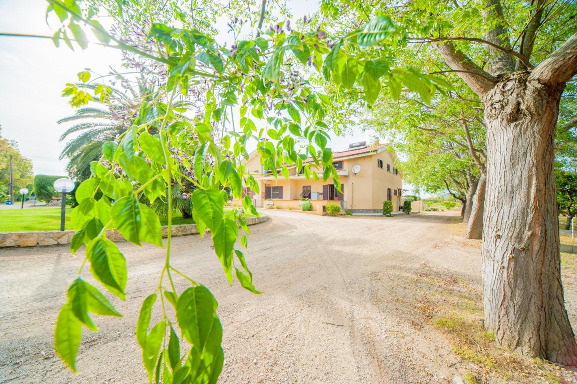 Bonsai B&B Alghero Санта-Мария-ла-Пальма Экстерьер фото